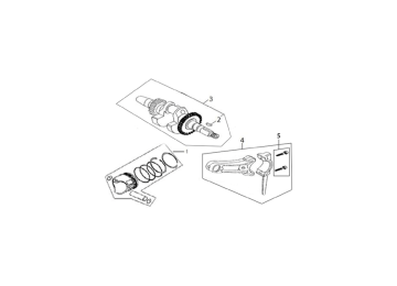 Crankshaft and Piston Assembly